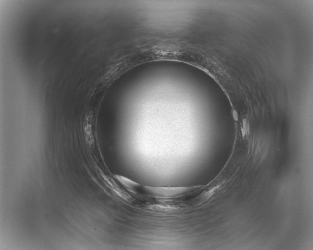 X0000070391396200606091139