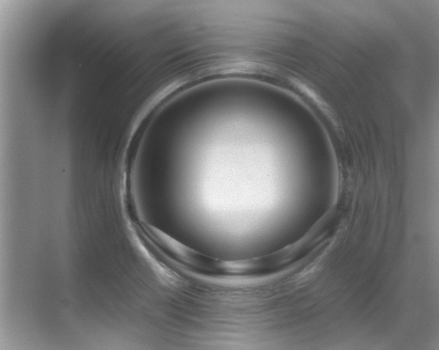 X0000070391418200606091139