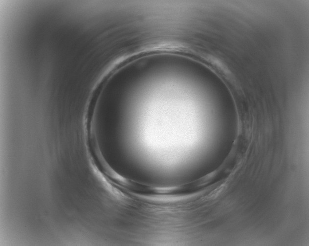 X0000070391422200606091139