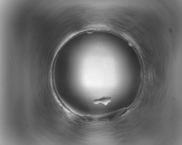 X0000070391440200606091140