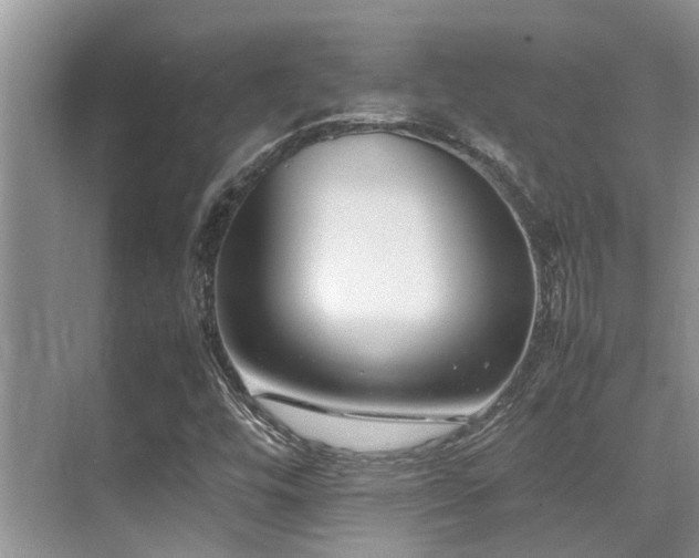 X0000070391448200606091139