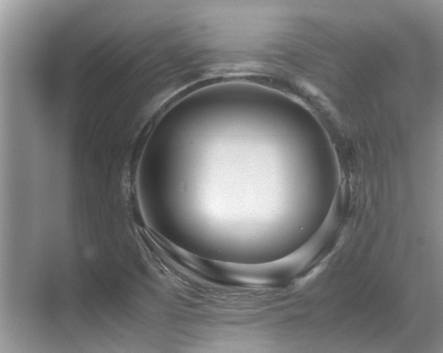 X0000070391457200606091139
