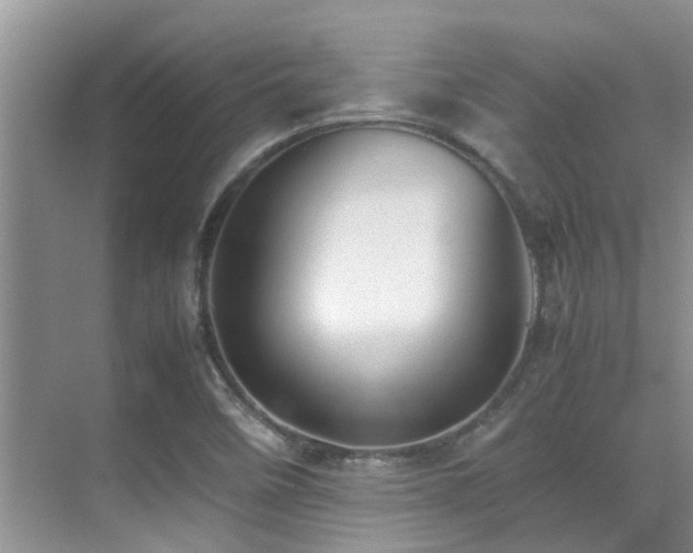 X0000070391458200606091139