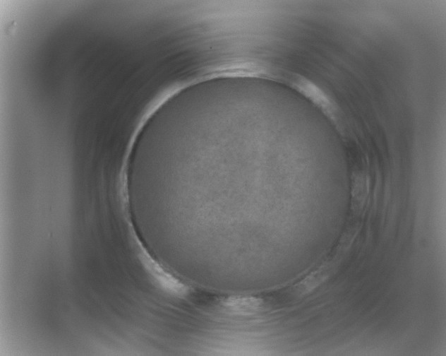 X0000070391466200606091138
