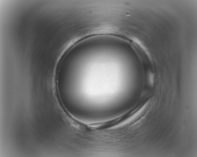 X0000070391469200606091138