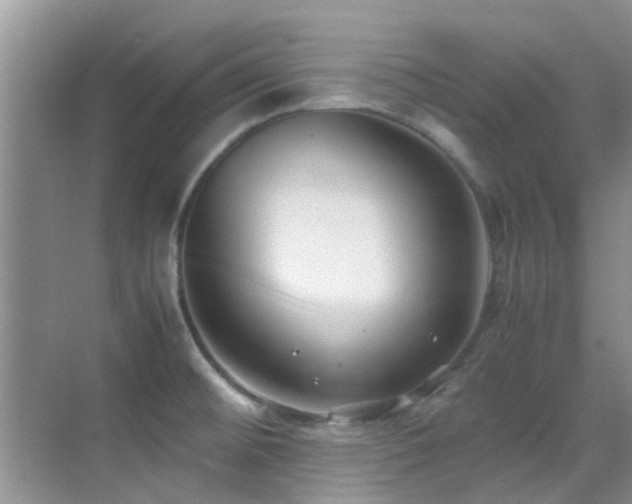 X0000070391476200606091138