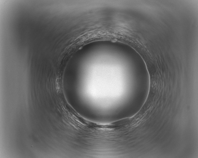 X0000070391490200606091137