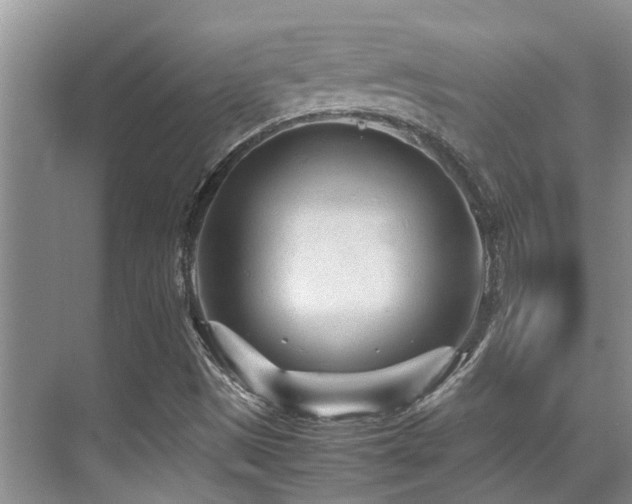 X0000070391497200606091137