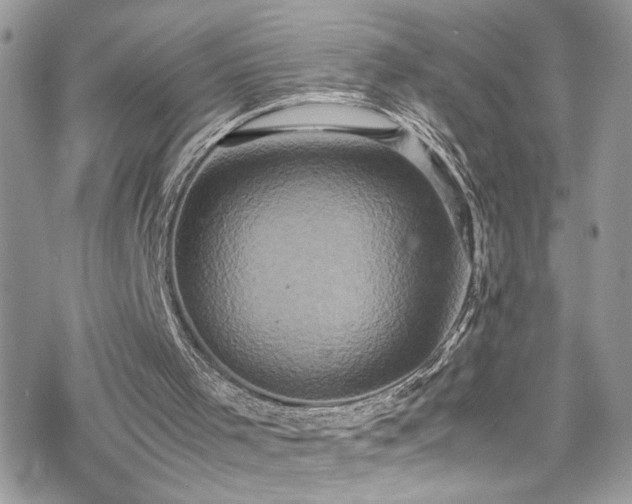 X0000070390001200606121329