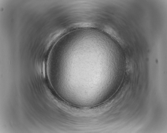 X0000070390014200606121329