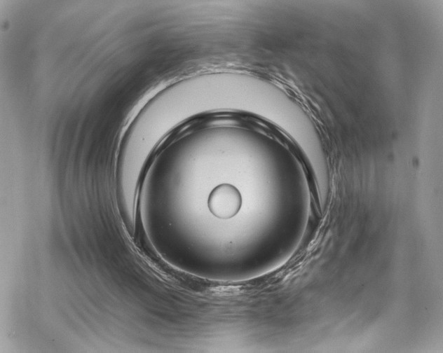X0000070390052200606121328