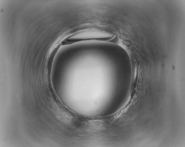 X0000070390150200606121326