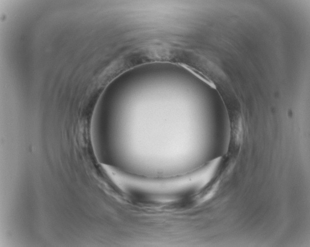 X0000070390233200606121325