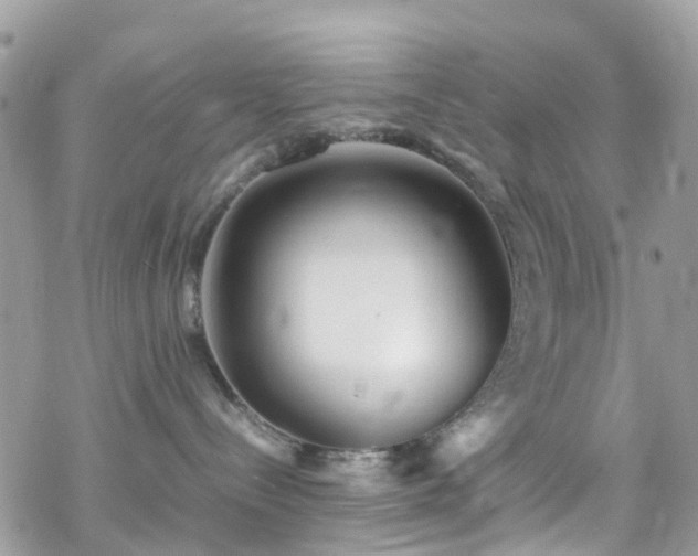 X0000070390288200606121325