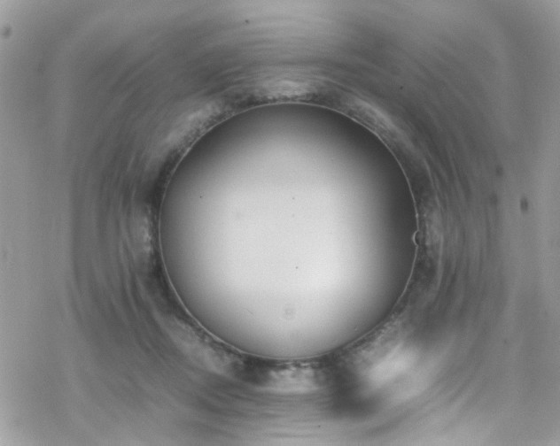X0000070390362200606121323