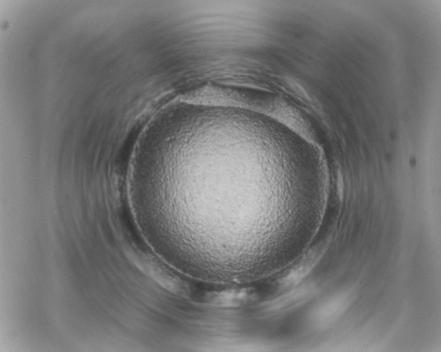 X0000070390366200606121323