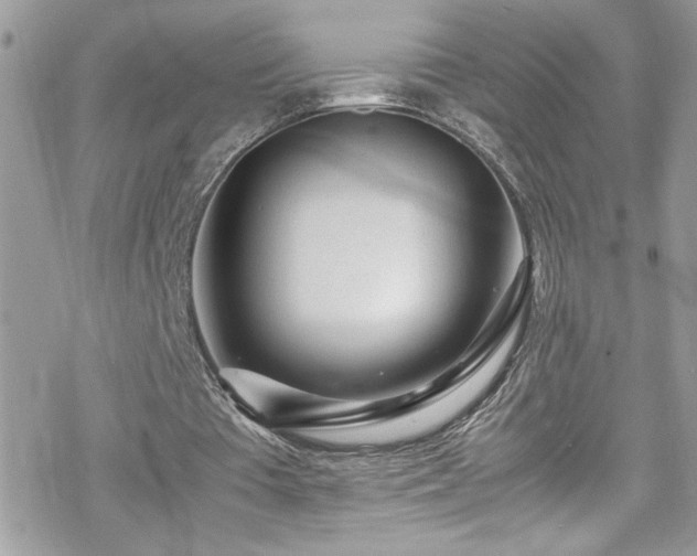X0000070390385200606121323