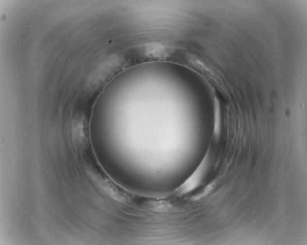 X0000070390424200606121322