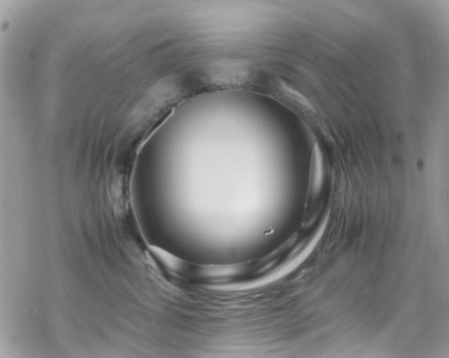 X0000070390428200606121322