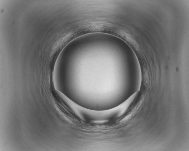 X0000070390493200606121321