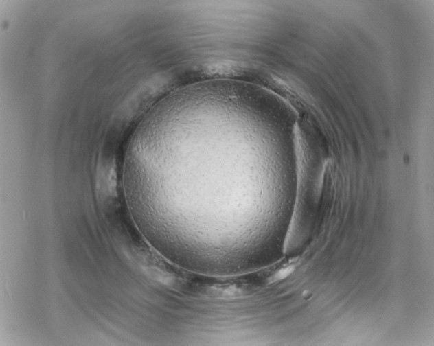 X0000070390502200606121321