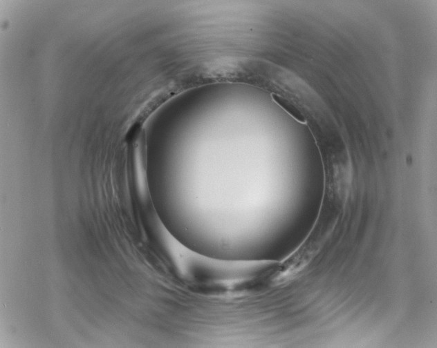 X0000070390508200606121321