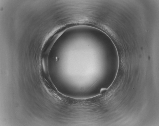 X0000070390532200606121320