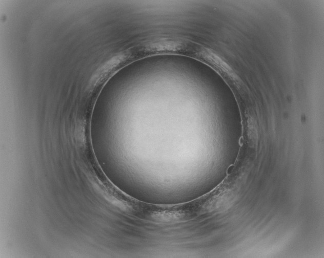 X0000070390537200606121320