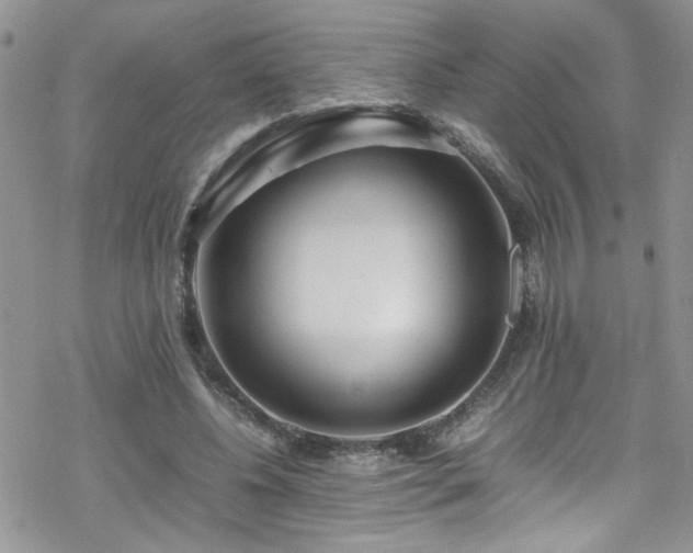 X0000070390540200606121320