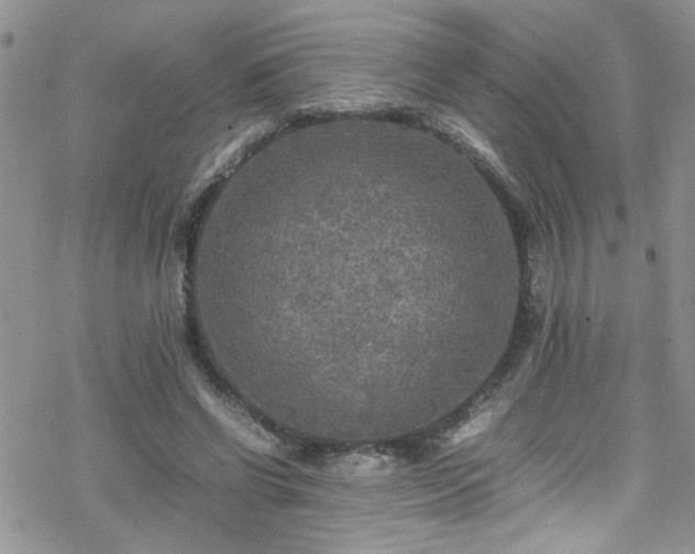 X0000070390542200606121320