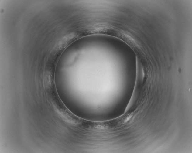 X0000070390546200606121320