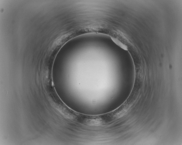 X0000070390548200606121320