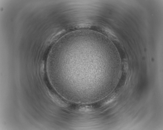 X0000070390550200606121320