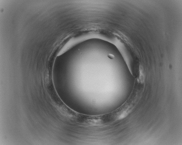 X0000070390552200606121320