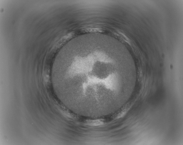 X0000070390553200606121320