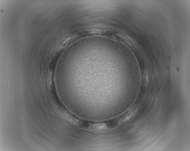 X0000070390554200606121320