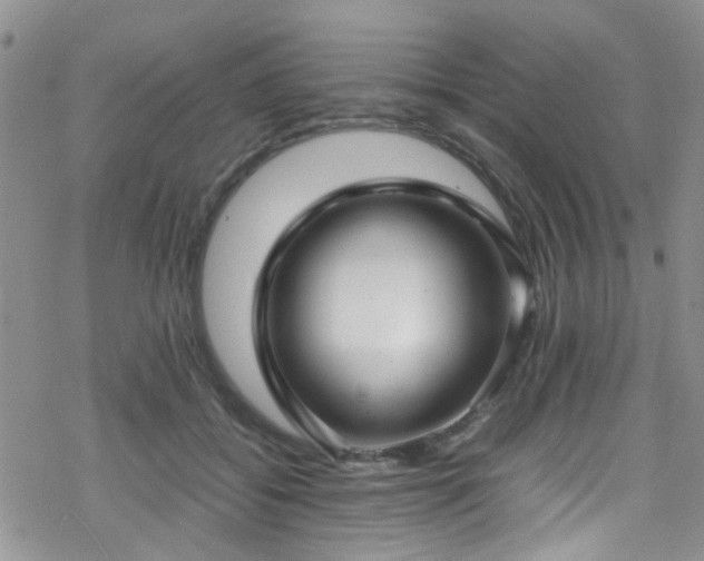 X0000070390556200606121320