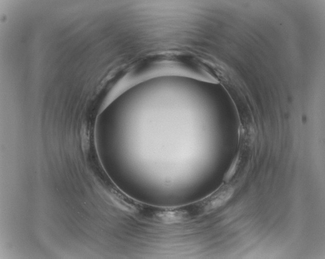 X0000070390558200606121320