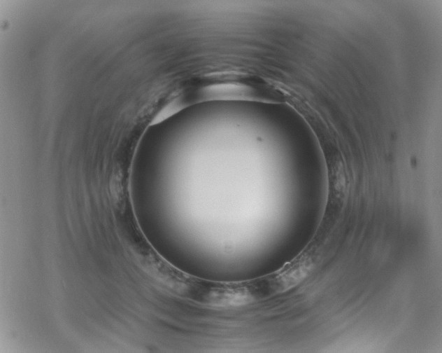 X0000070390559200606121320