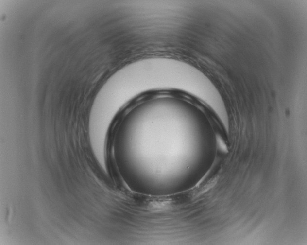 X0000070390560200606121320