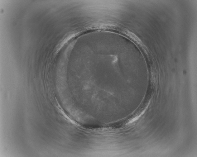 X0000070390577200606121320