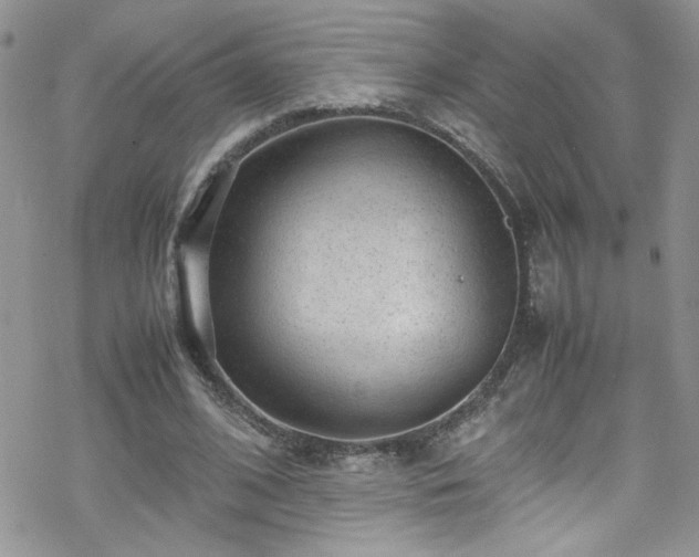 X0000070390584200606121320