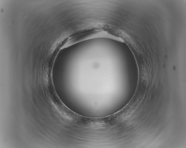 X0000070390586200606121320