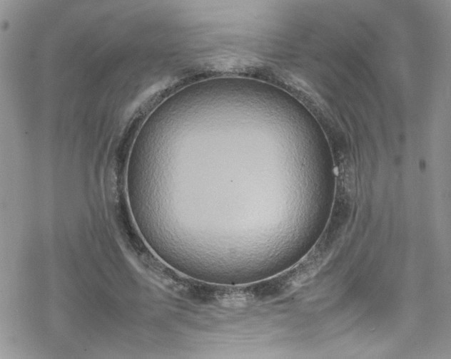 X0000070390587200606121320