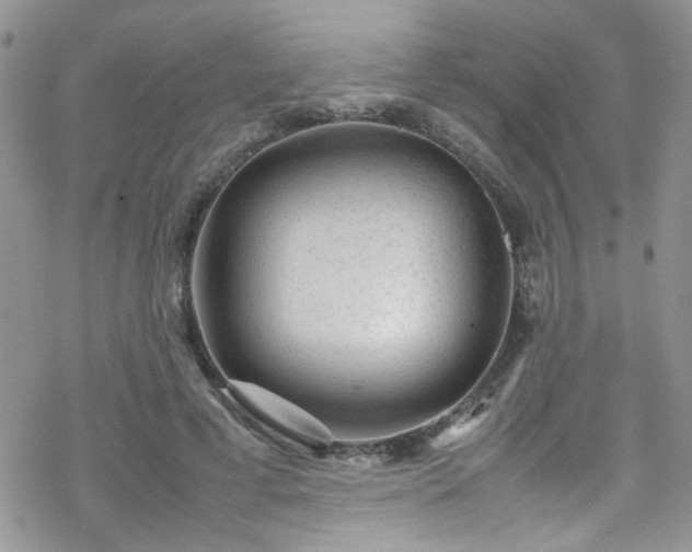 X0000070390593200606121320