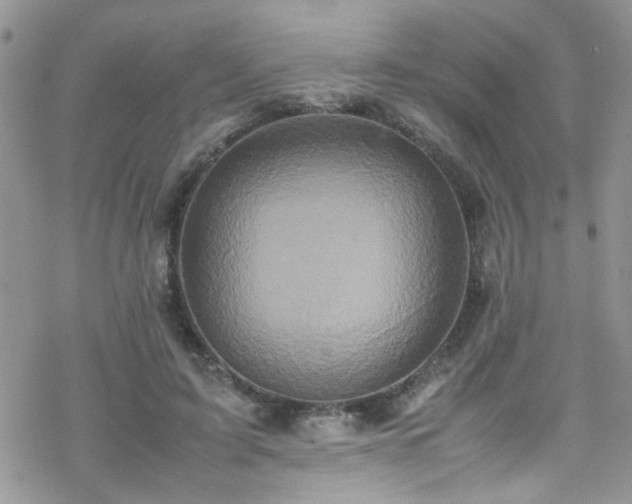 X0000070390595200606121320