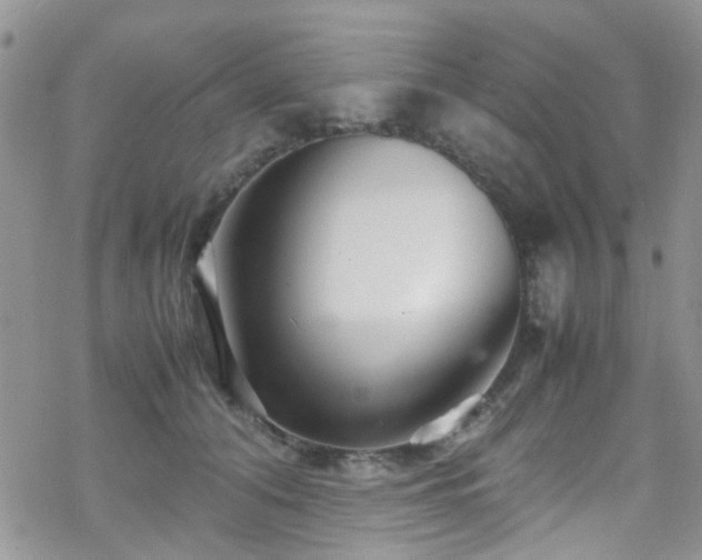 X0000070390608200606121319