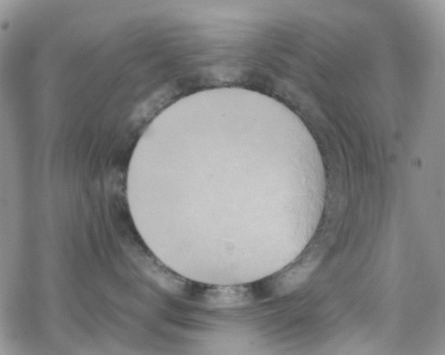 X0000070390672200606121319