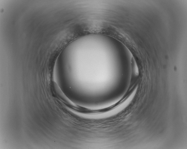 X0000070390697200606121318