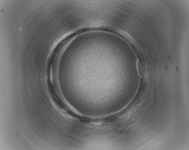 X0000070390728200606121317